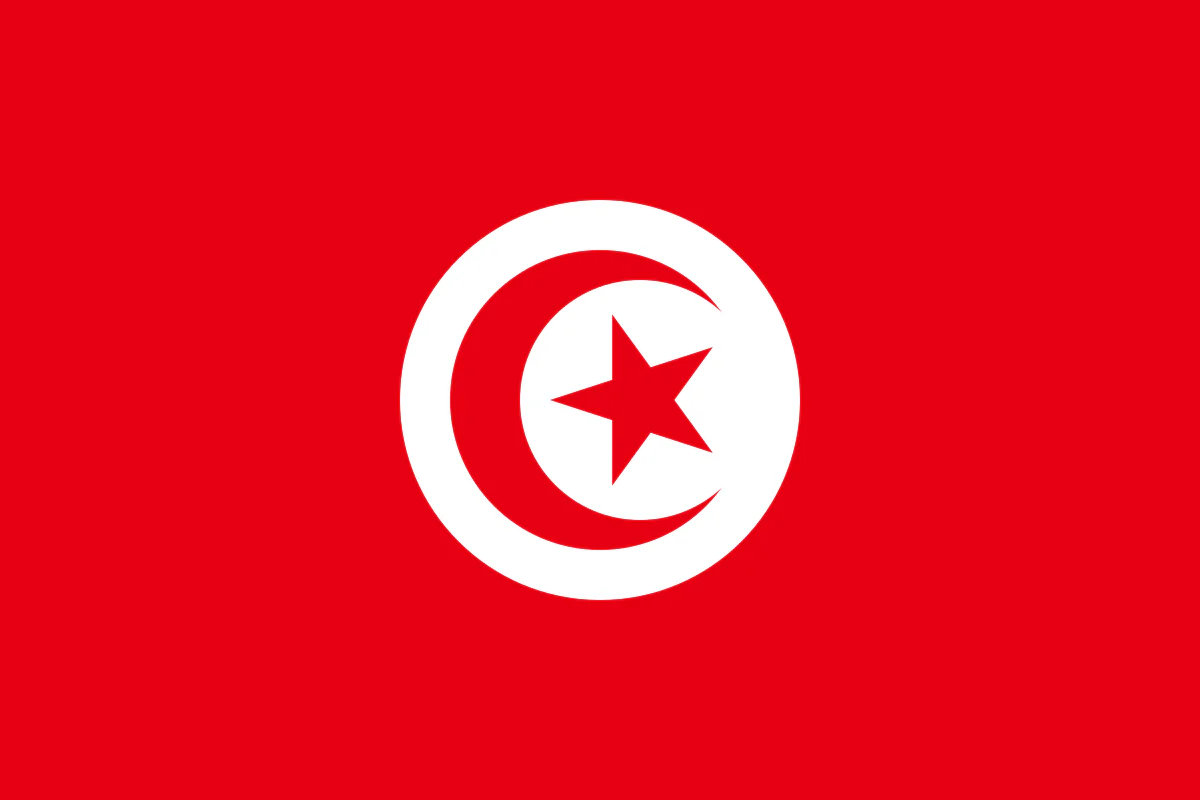 Embroidered Zekken Flag - Image 13