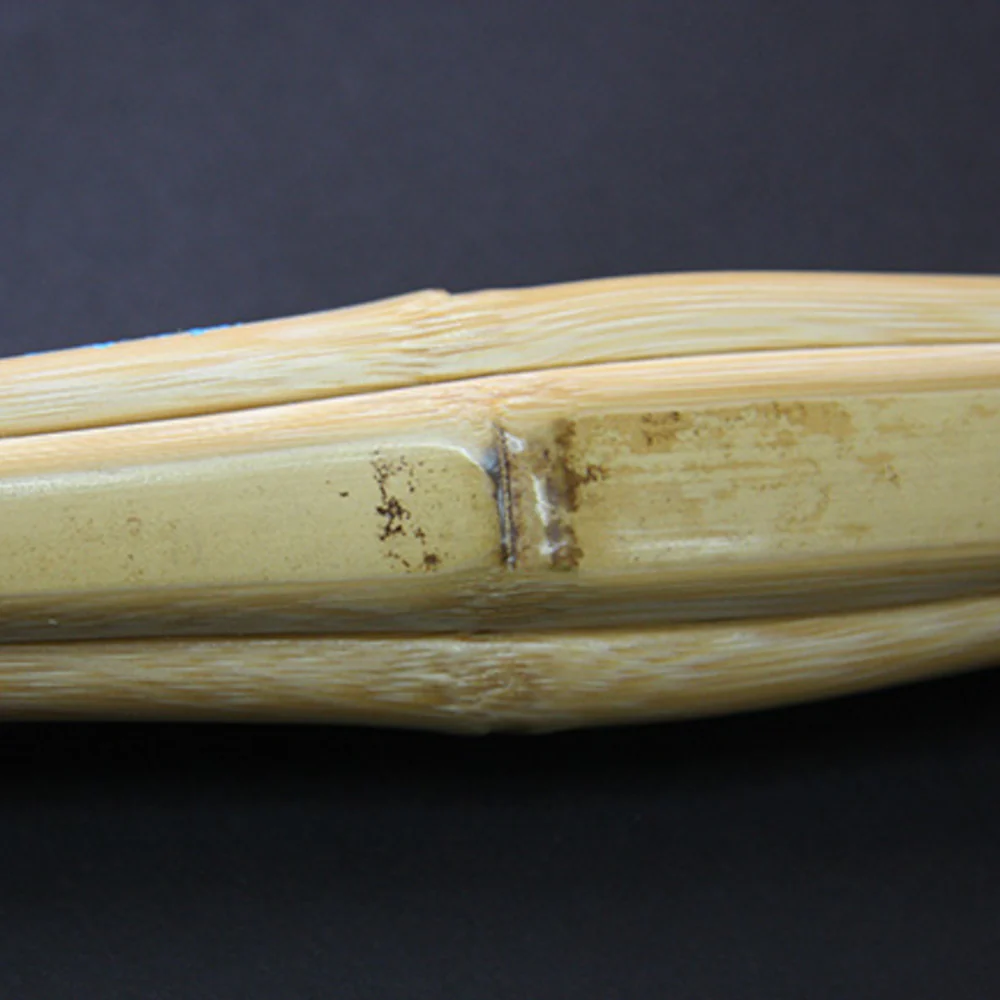 Hibari Jissengata Shinai - Image 3