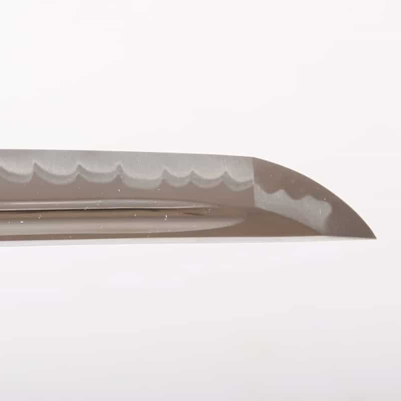 Seiryu - Kago Koshirae Iaito - Image 8