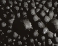 Tsukasame - Image 15